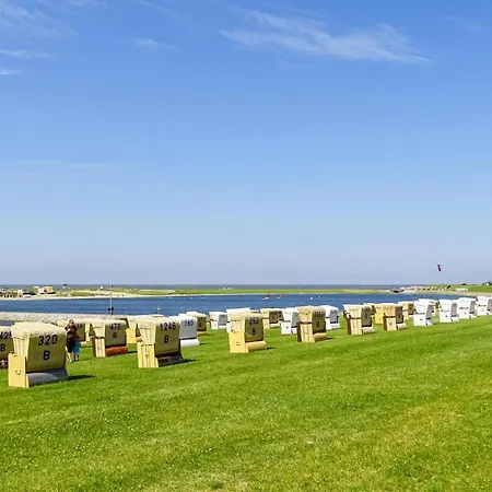 Kleiner Seehund * Büsum